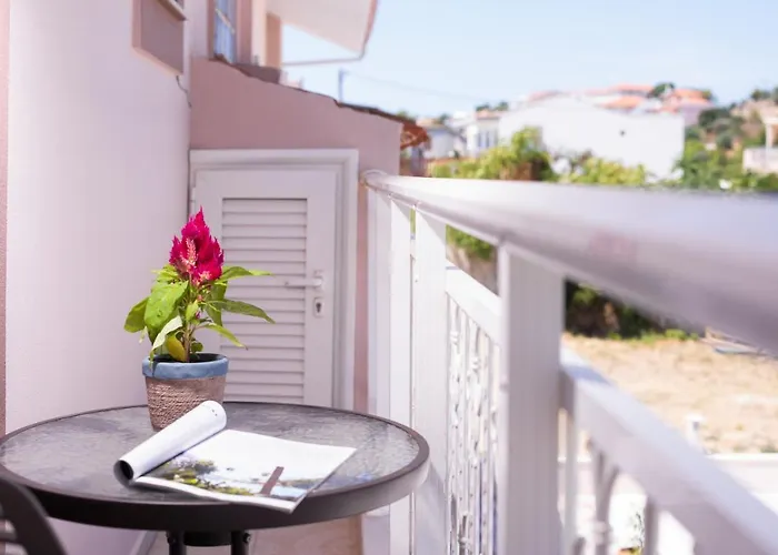 Xenia 利迈纳里亚